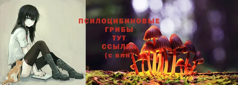 Галлюциногенные грибы Cubensis  kraken ссылки  Райчихинск 